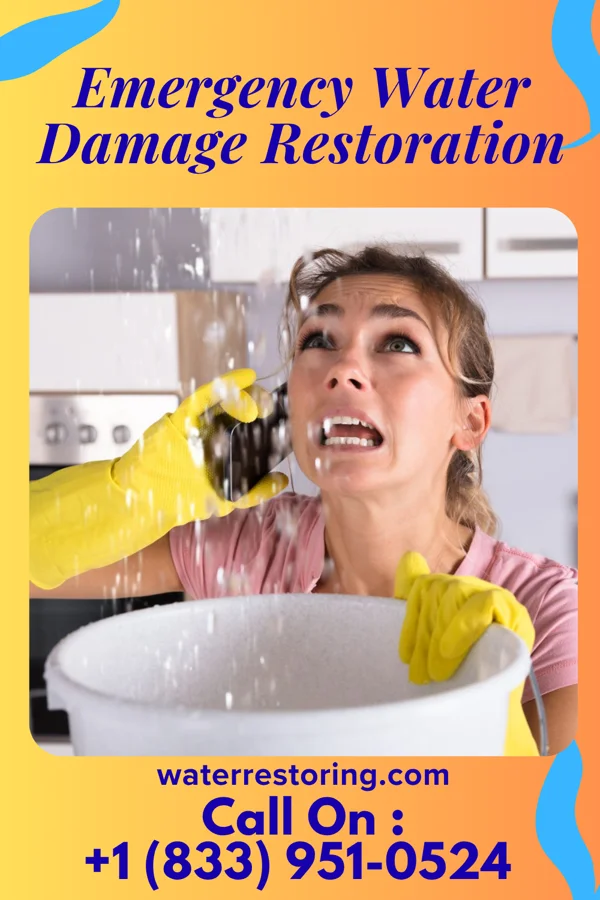 Emergency Water Damage Restoration in Elk Point, SD