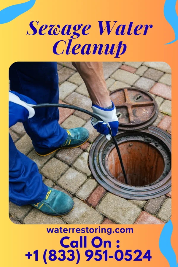 Sewage Water Cleanup in Elk Point, SD